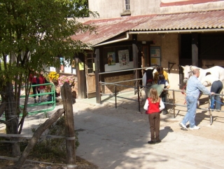  The Meriel equestrian center 